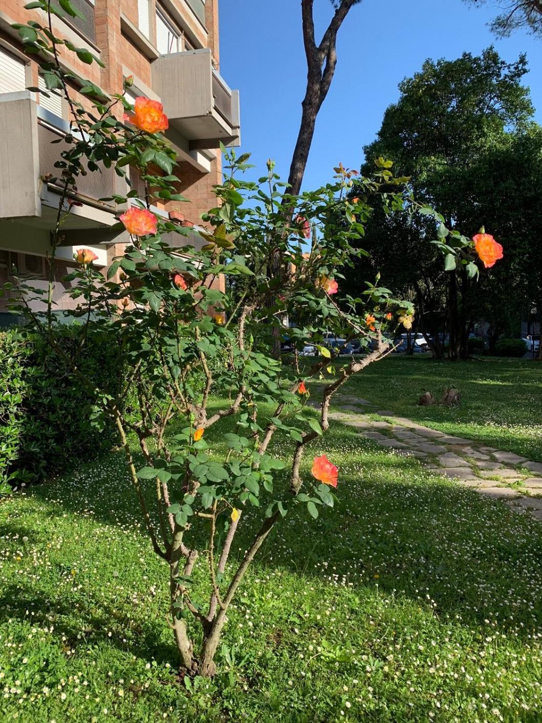 Lägenhet Sunshine